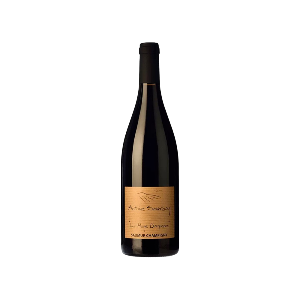 Antoine Sanzay, Saumur Champigny La Haye Dampierre 2021, Bottiglia 750 ml
