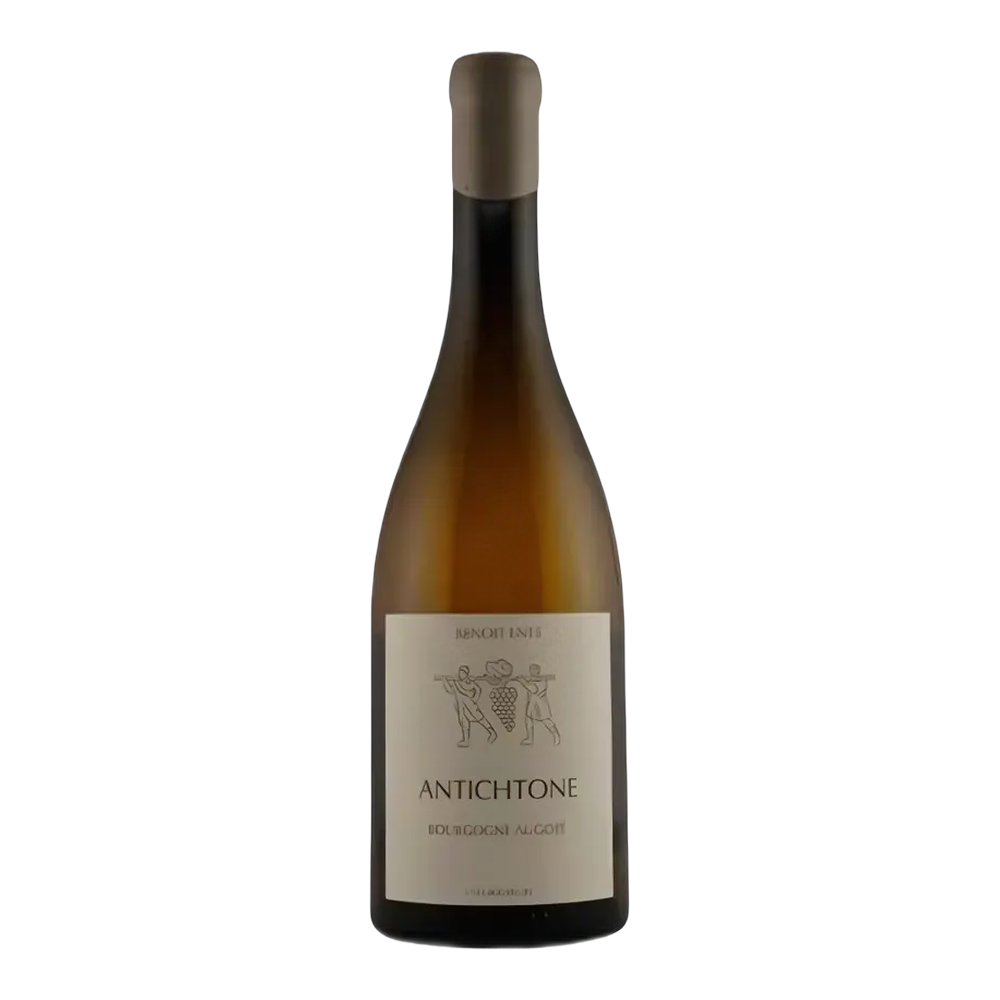 Benoît Ente, Bourgogne Blanc 2020, Bottiglia 750 ml