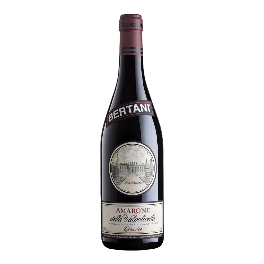 Bertani, Amarone della Valpolicella Classico 1999, Bottiglia 750 ml