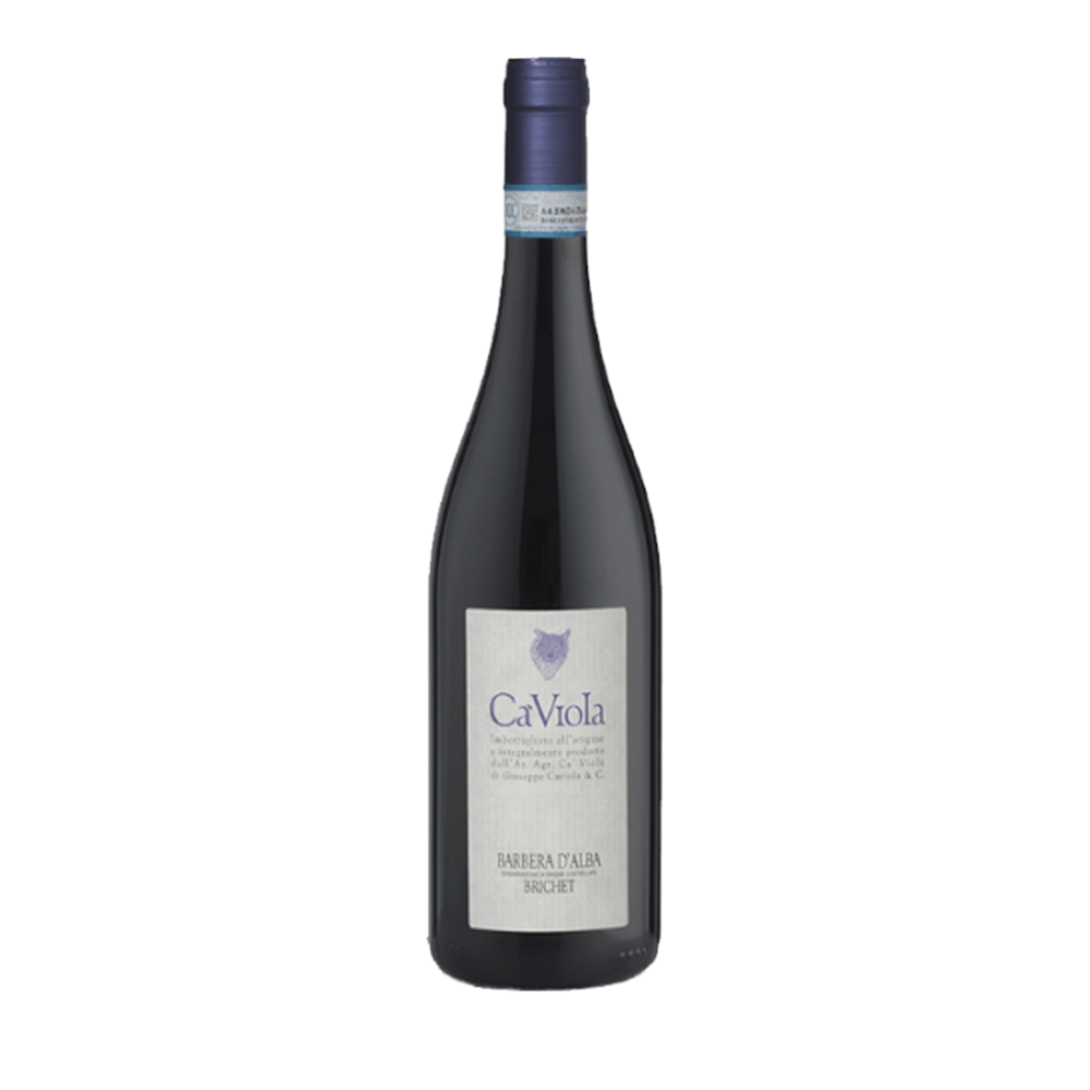 Ca' Viola, Barbera d'Alba Brichet 2020, Bottiglia 750 ml