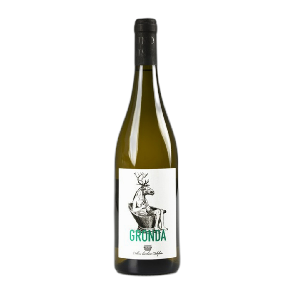 Calafata, Gronda 2022, Bottiglia 750 ml