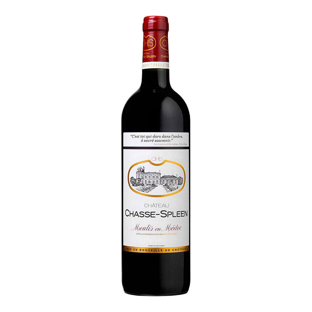 Château Chasse-Spleen, Moulis-en-Médoc Château Chasse-Spleen 2020, Bottiglia 750 ml