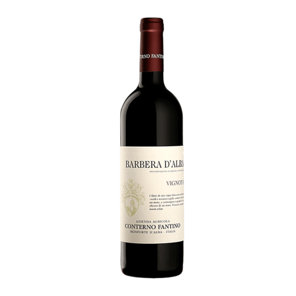 Conterno Fantino, Barbera d'Alba Vignota 2017, Bottiglia 750 ml