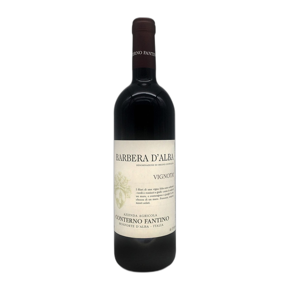 Conterno Fantino, Barbera d'Alba Vignota 2022, Bottiglia 750 ml