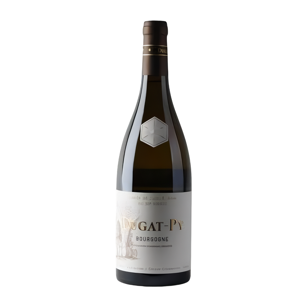 Dugat-Py, Bourgogne Blanc 2022, Bottiglia 750 ml