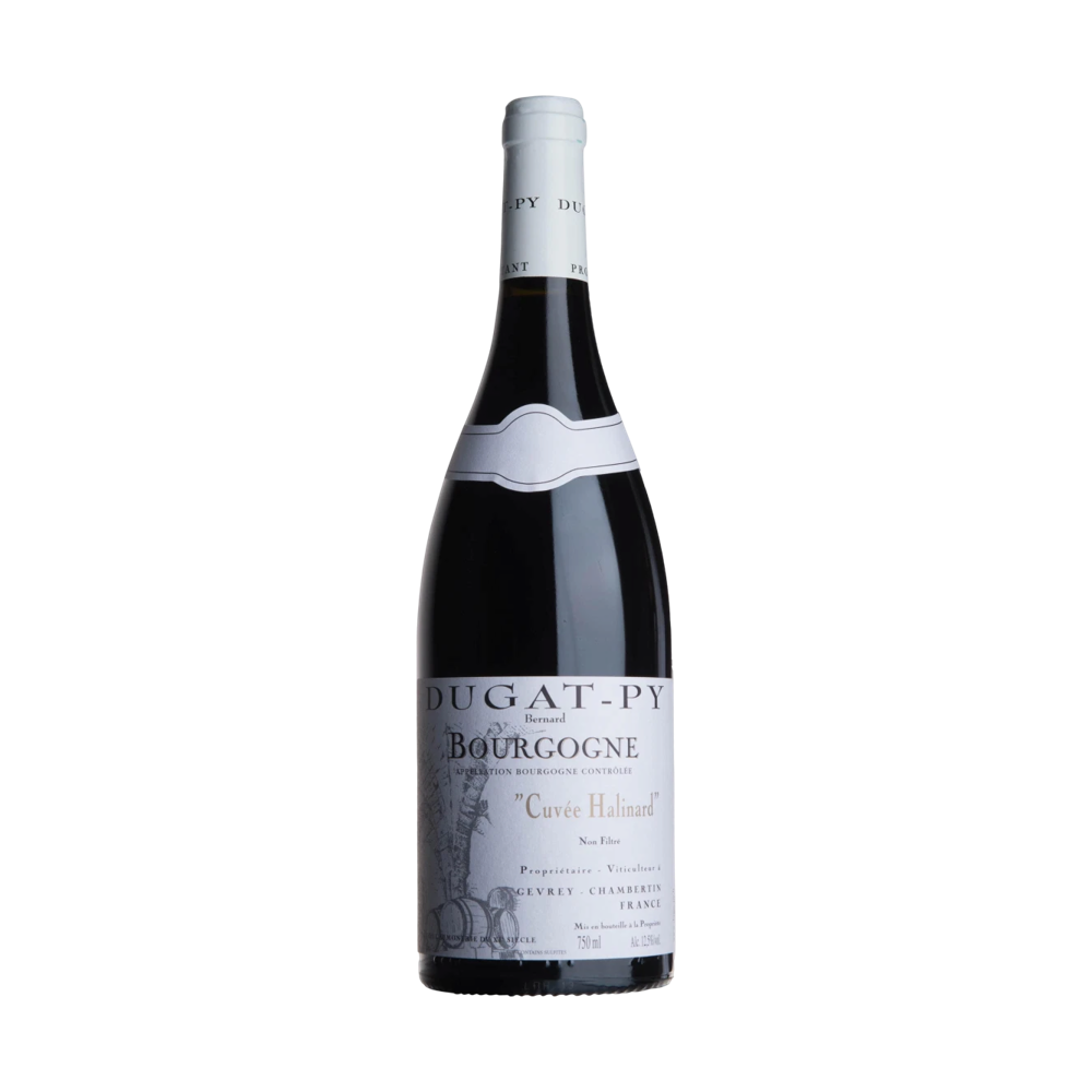 Dugat-Py, Bourgogne Cuvée Halinard 2022, Bottiglia 750 ml