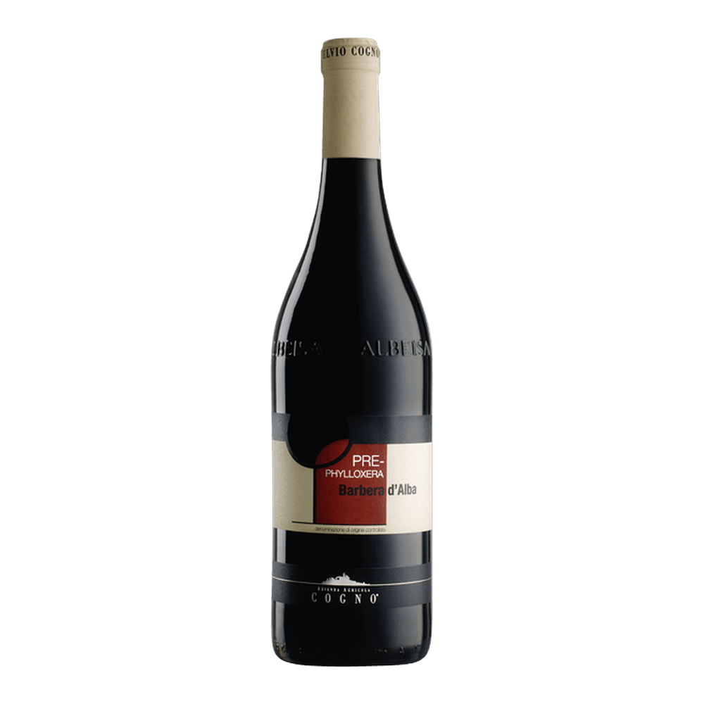 Elvio Cogno, Barbera d'Alba Pre-Phylloxera 2023, Bottiglia 750 ml
