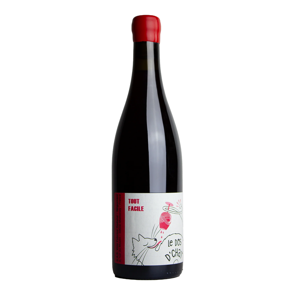 Fabrice Dodane - Domaine de Saint Pierre, Tout Facile 2023, Bottiglia 750 ml