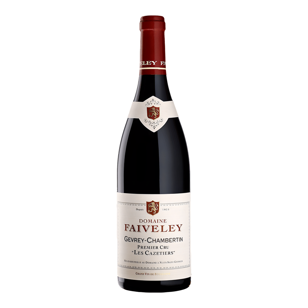 Faiveley, Gevrey-Chambertin Les Cazetieres 1er Cru 2019, Bottiglia 750 ml