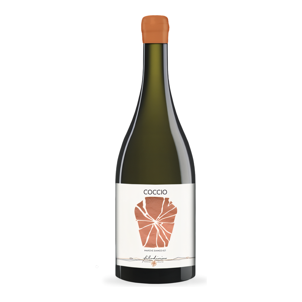 Filodivino, Coccio 2022, Bottiglia 750 ml