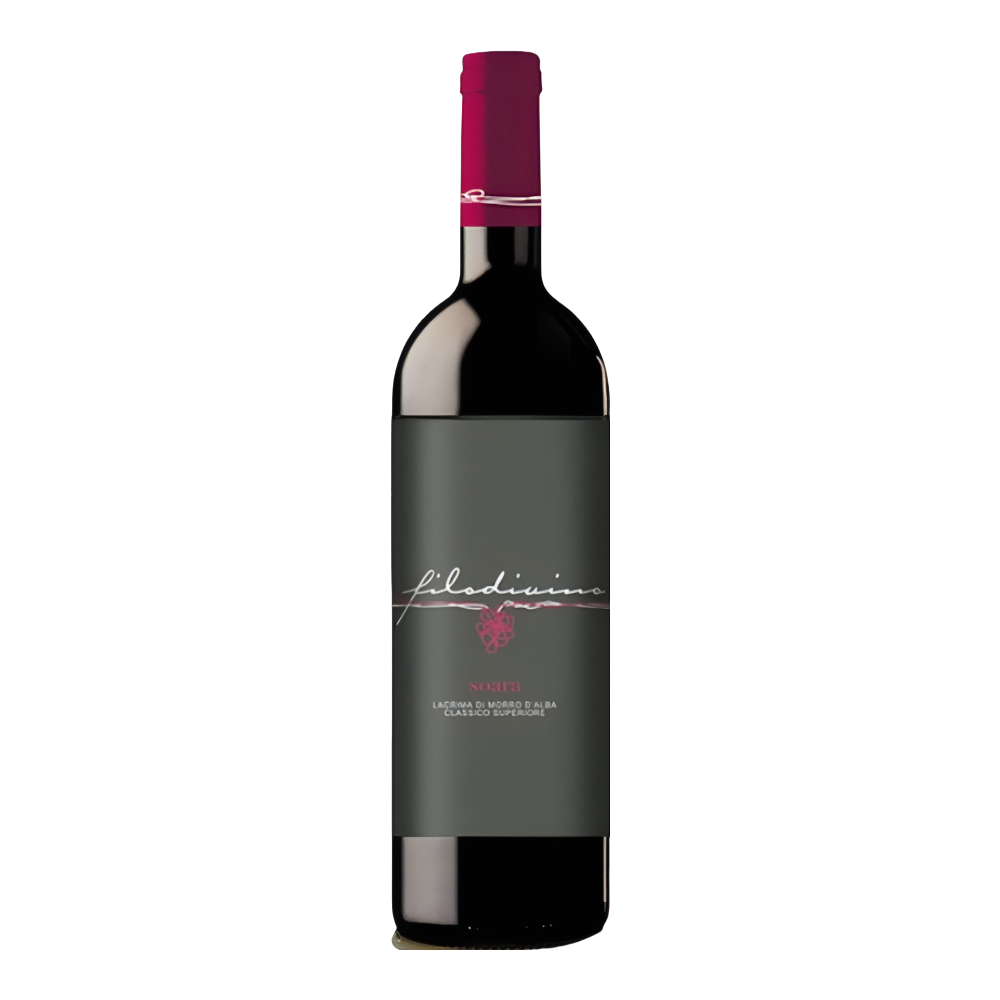 Filodivino, Lacrima di Morro d'Alba Superiore Soara 2018, Bottiglia 750 ml