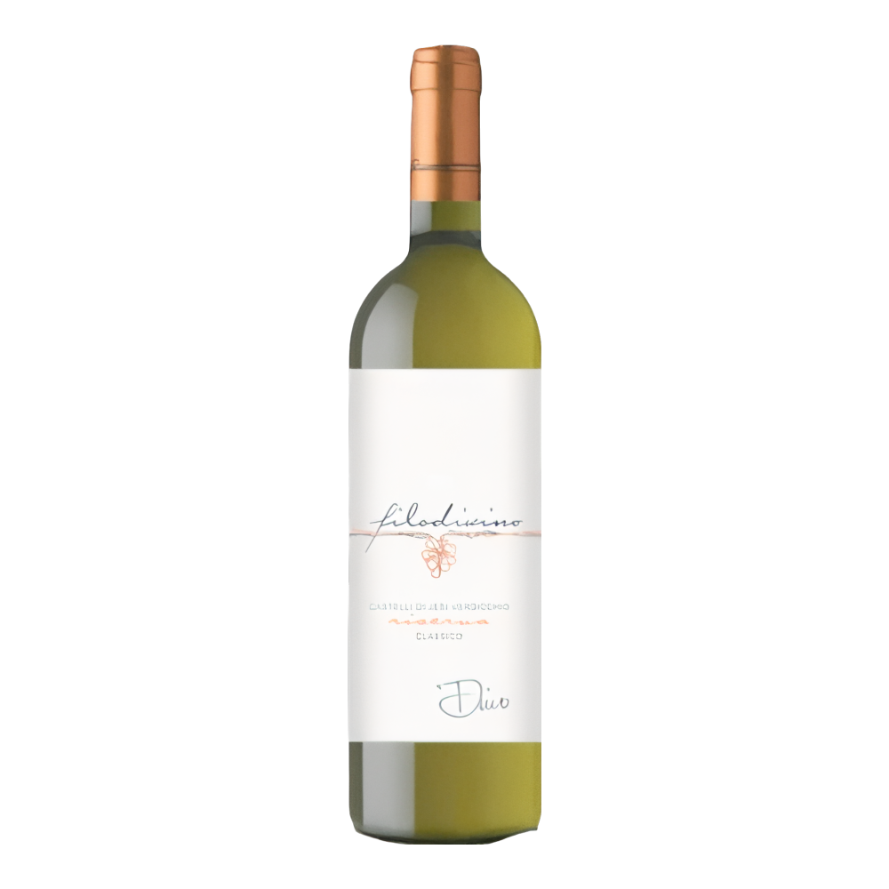 Filodivino, Verdicchio dei Castelli di Jesi Classico Riserva Dino 2019, Bottiglia 750 ml
