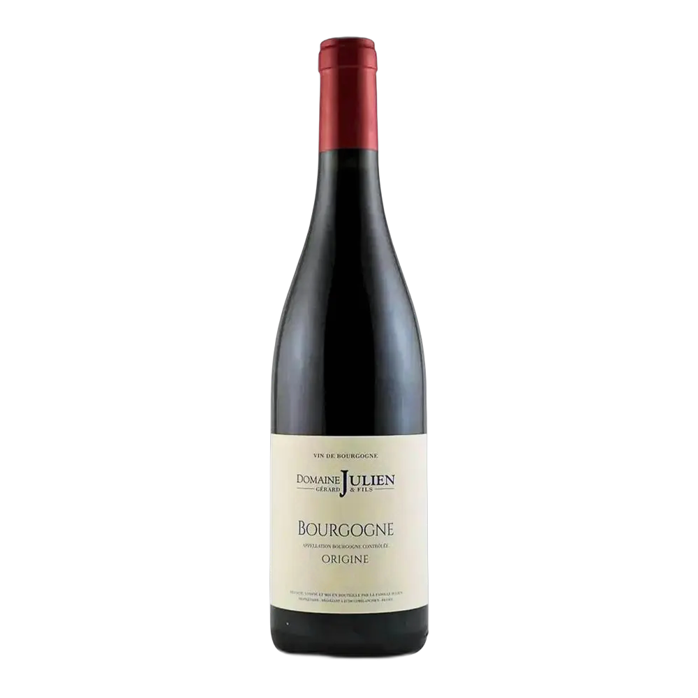 Gérard Julien & Fils, Bourgogne Rouge 2022, Bottiglia 750 ml
