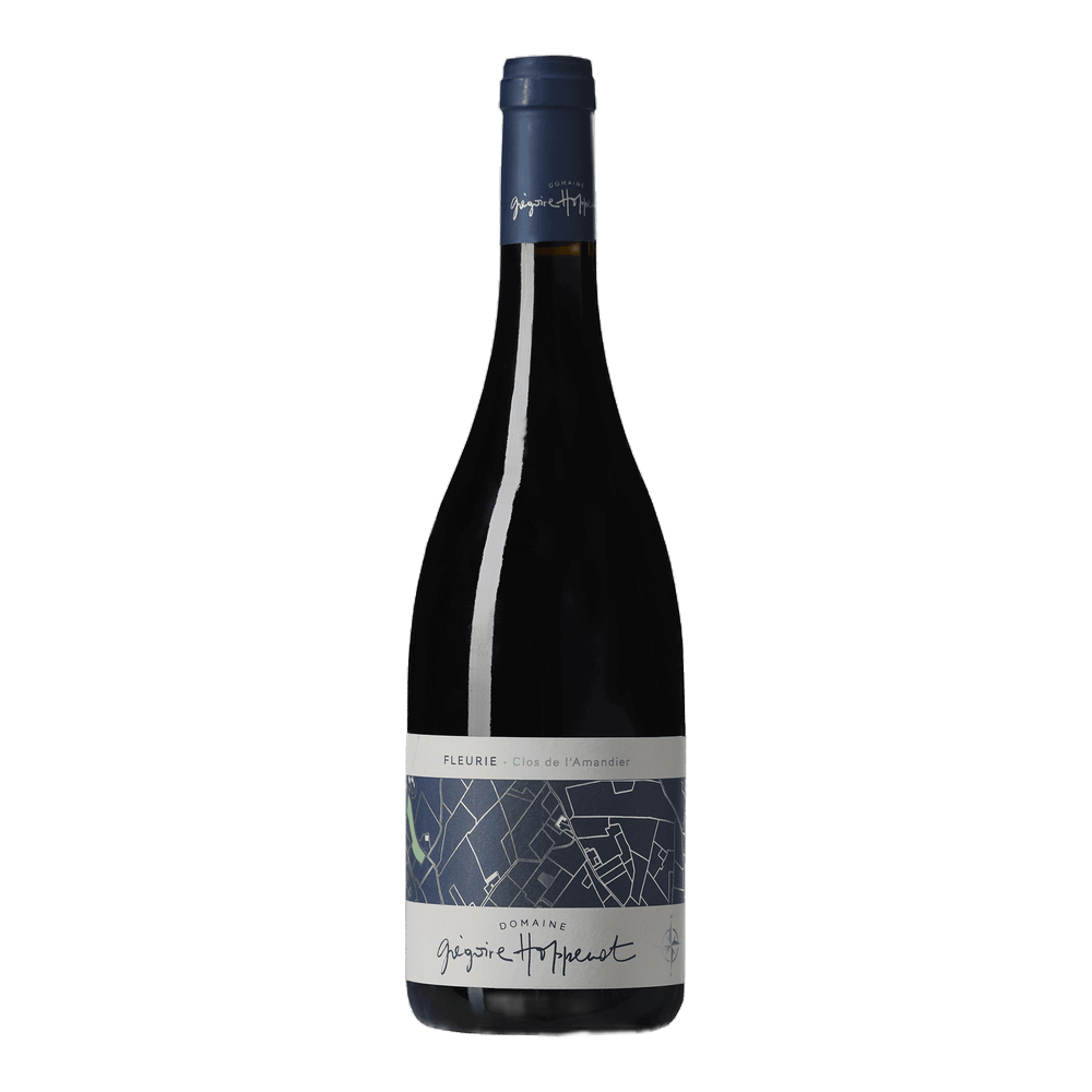 Grégoire Hoppenot, Fleurie Clos de l'Amandier 2022, Bottiglia 750 ml