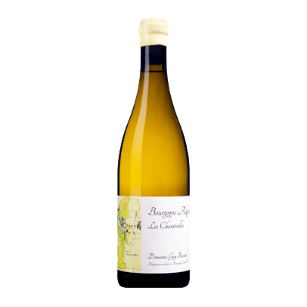 Guy Bocard, Aligoté Bourgogne Les Chanterelles 2023, Bottiglia 750 ml