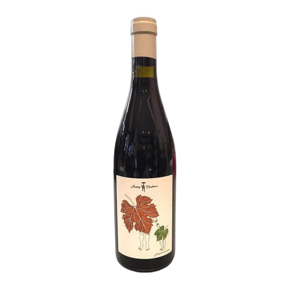Jérémy Recchione, Bourgogne Passetoutgrain 2018, Bottiglia 750 ml