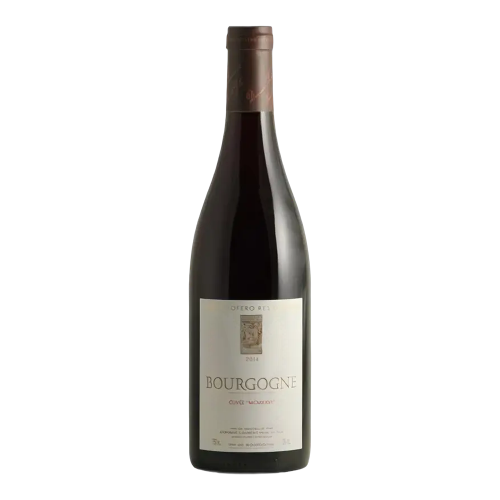Dominique Laurent / Laurent Père et Fils, Pinot noir Bourgogne 2020, Bottiglia 750 ml