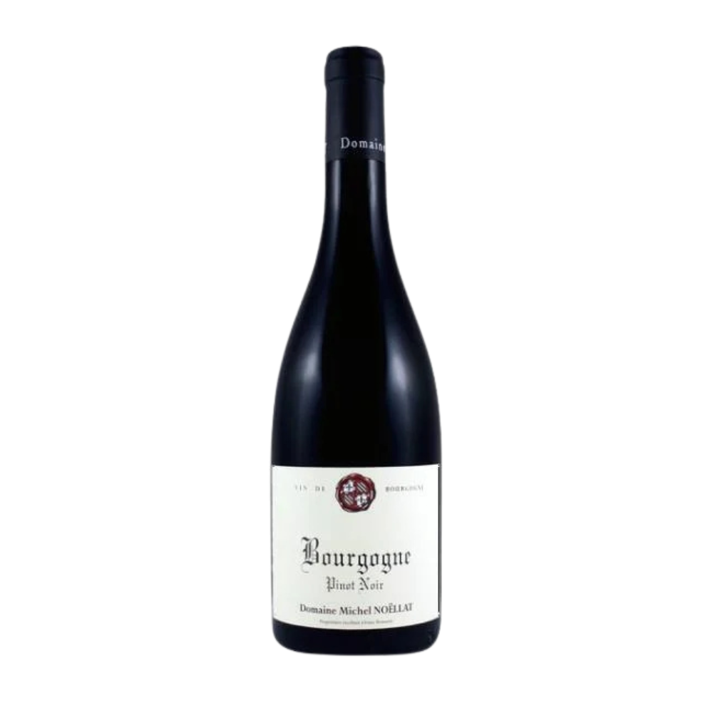 Michel Noëllat, Pinot noir Bourgogne 2023, Bottiglia 750 ml