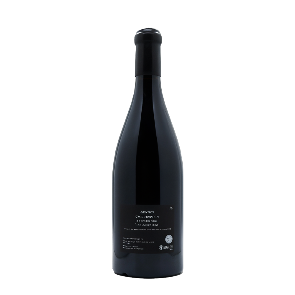 Millemann Wines, Gevrey-Chambertin Les Cazetiers 1er Cru 2022, Bottiglia 750 ml