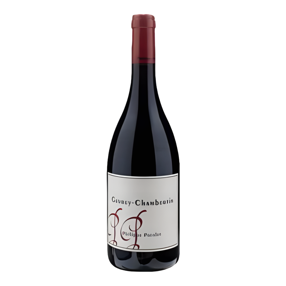 Philippe Pacalet, Gevrey-Chambertin 2021, Bottiglia 750 ml