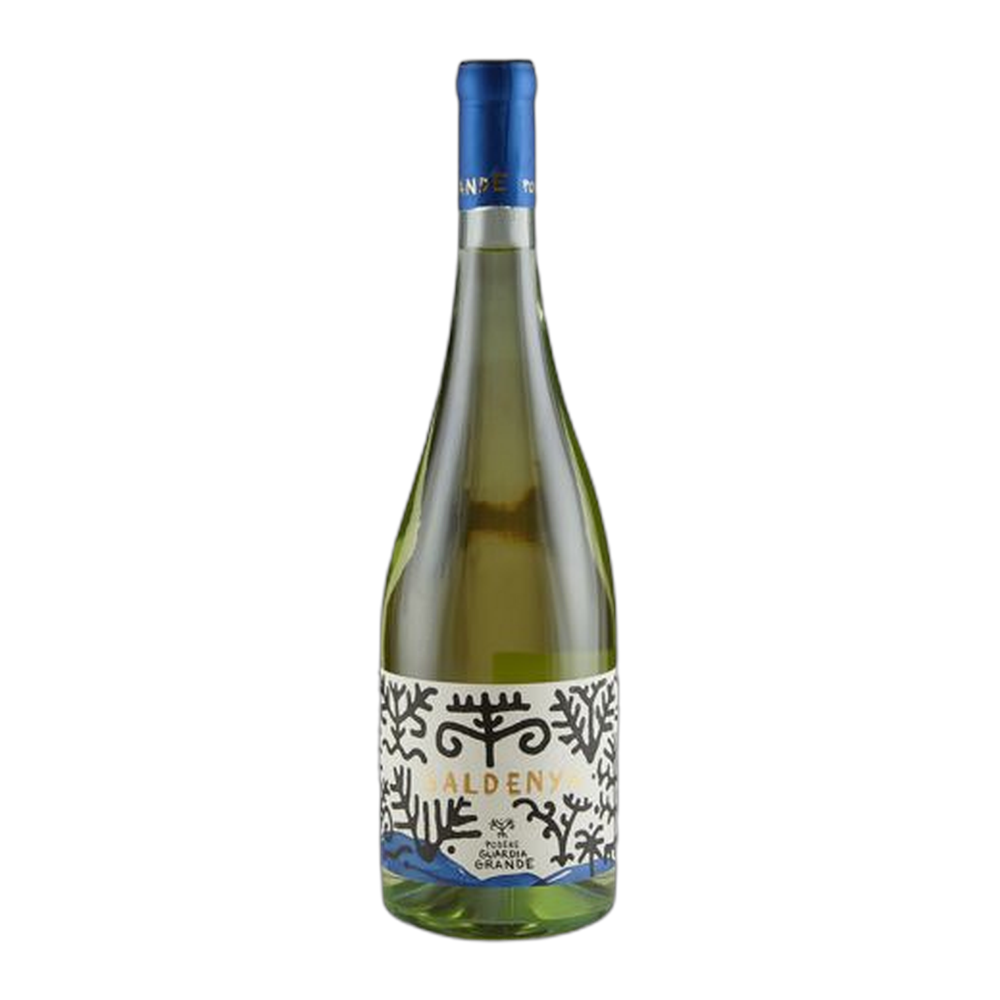 Podere Guardia Grande, Vermentino di Sardegna Saldenya 2024, Bottiglia 750 ml