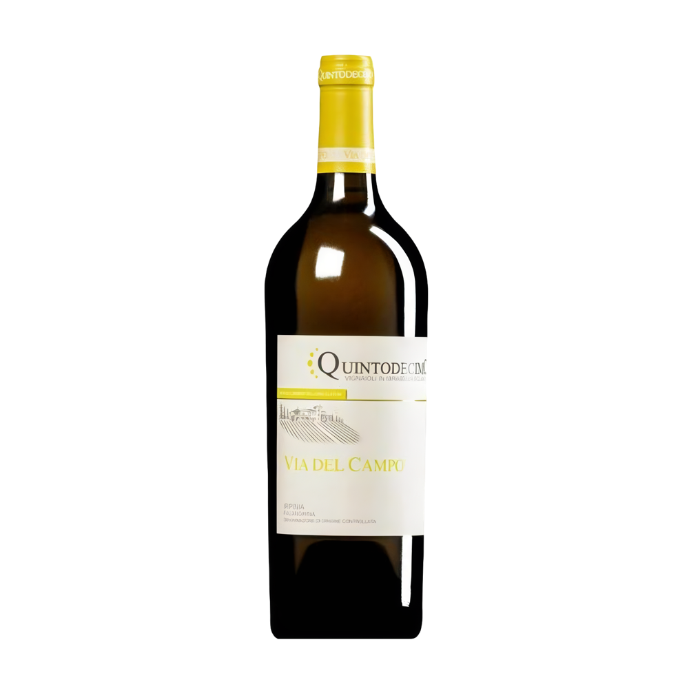 Quintodecimo, Falanghina Via del Campo 2019, Bottiglia 750 ml