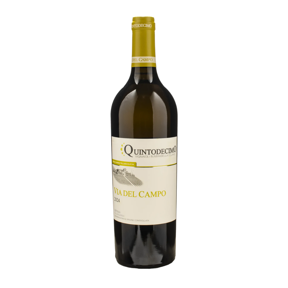Quintodecimo, Falanghina Via del Campo 2024, Bottiglia 750 ml