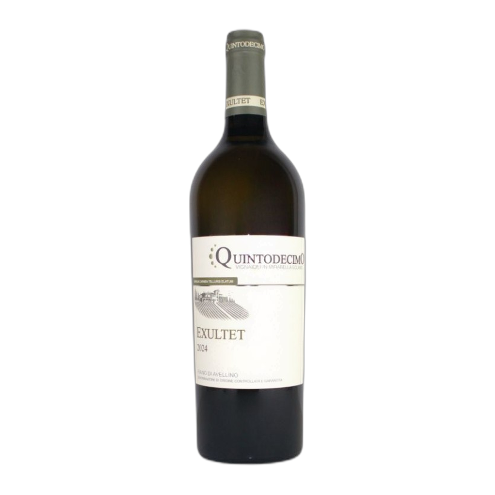 Quintodecimo, Fiano di Avellino Exultet 2024, Bottiglia 750 ml