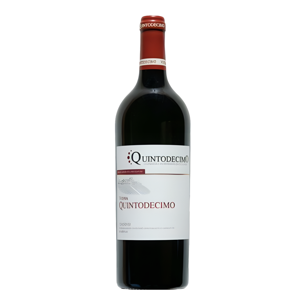 Quintodecimo, Taurasi Riserva Vigna Quintodecimo 2017, Bottiglia 750 ml
