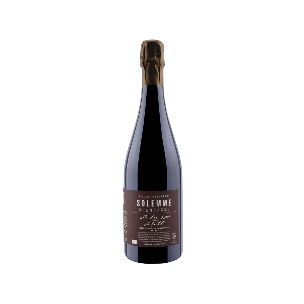 Solemme, Blanc de Blancs Brut nature 2016, Bottiglia 750 ml