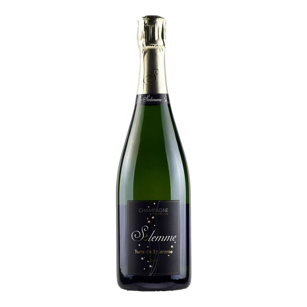Solemme, Terre de Solemme Brut 1er Cru, Bottiglia 750 ml