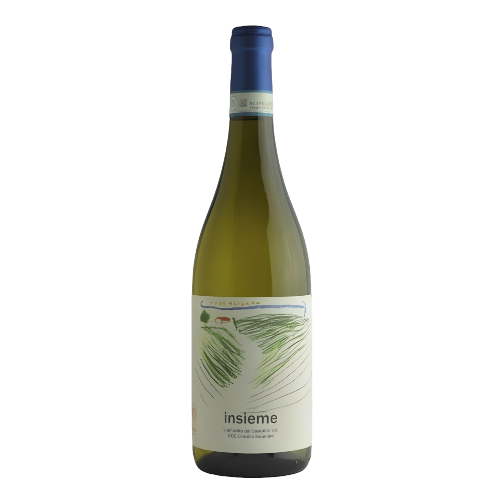 Terralibera, Verdicchio dei Castelli di Jesi Classico Superiore Insieme 2023, Bottiglia 750 ml