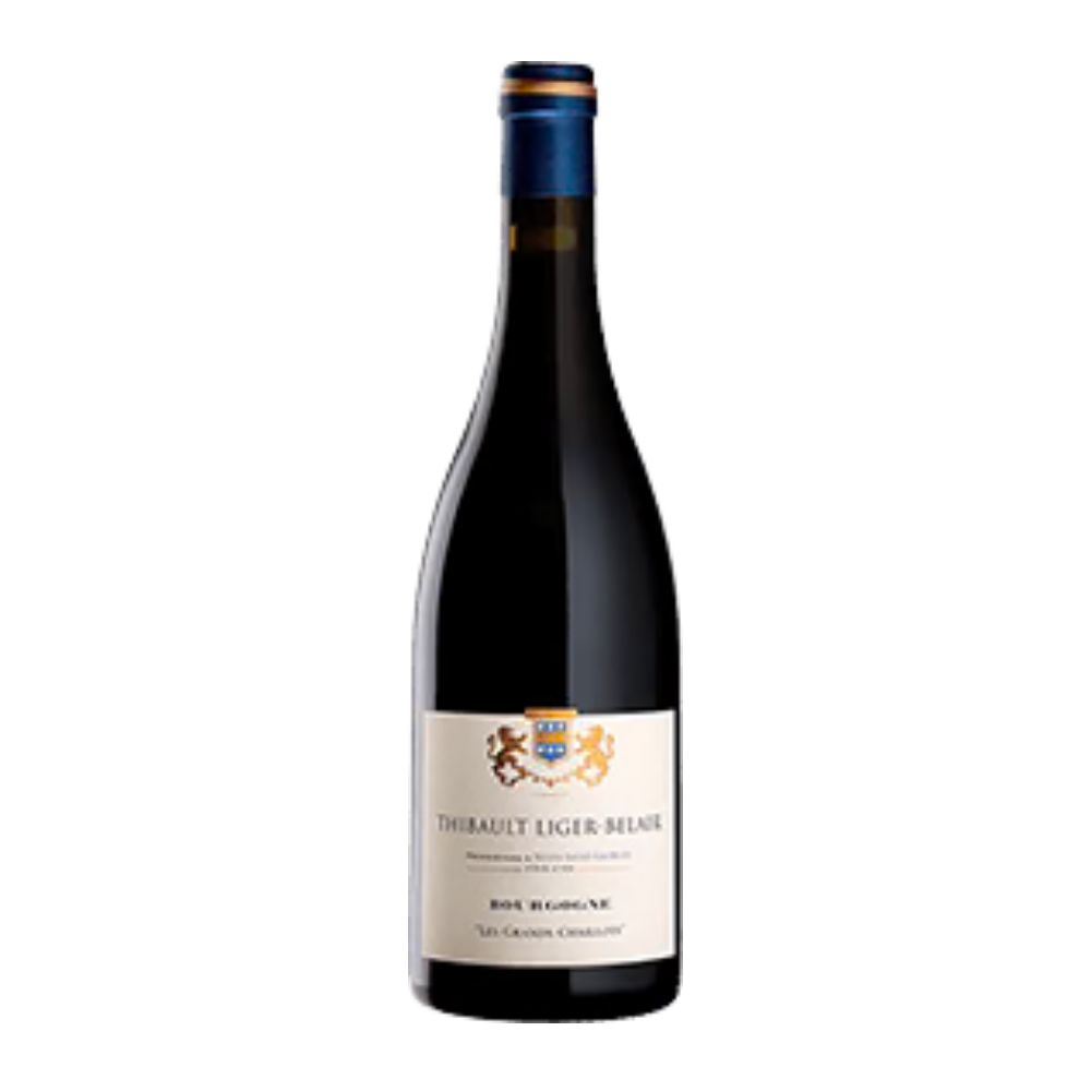 Thibault Liger-Belair Domaine, Richebourg Grand Cru 2019, Bottiglia 750 ml