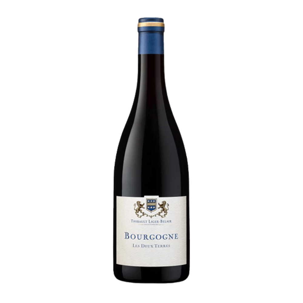 Thibault Liger-Belair Successeurs, Gamay Bourgogne Les Deux Terres 2021, Bottiglia 750 ml