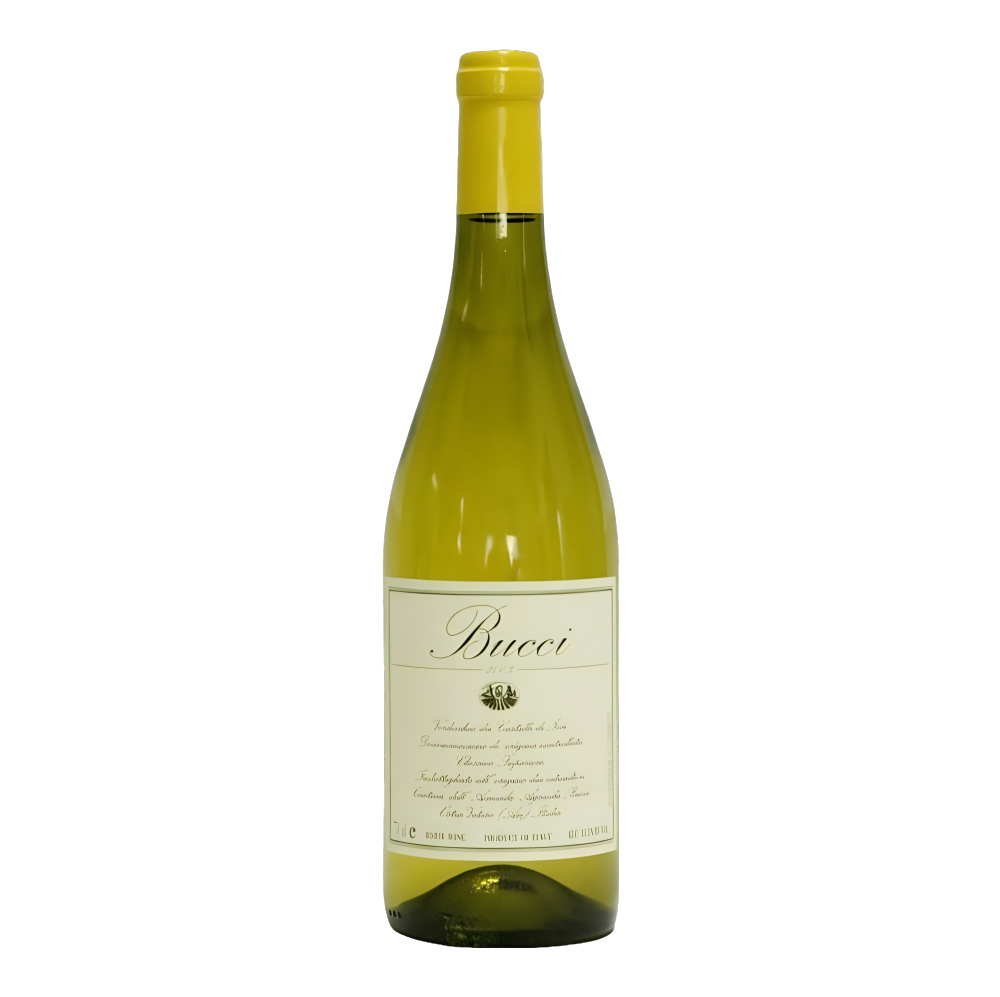 Villa Bucci, Verdicchio dei Castelli di Jesi Classico Superiore Bucci 2022, Bottiglia 750 ml
