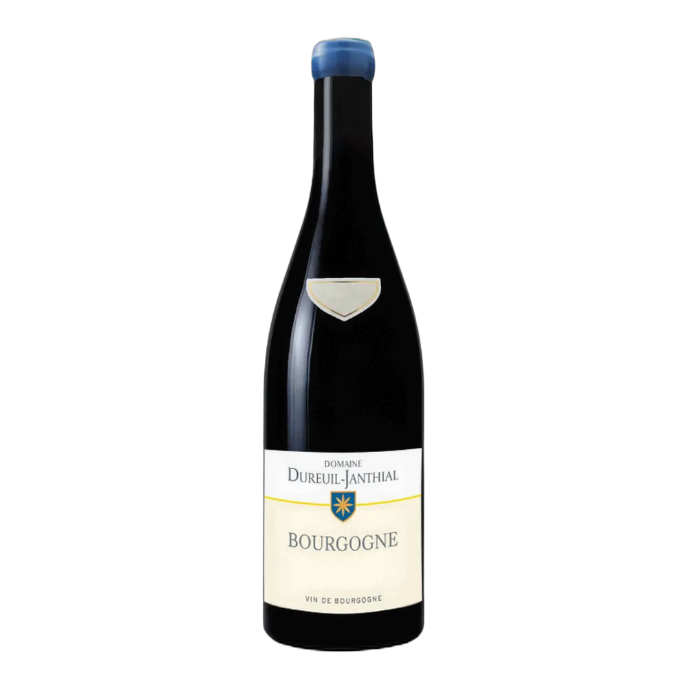 Vincent Dureuil-Janthial, Bourgogne Rouge 2023, Bottiglia 750 ml